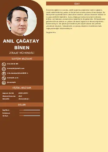 Ziraat Mühendisi Cv Örnekleri cv indir